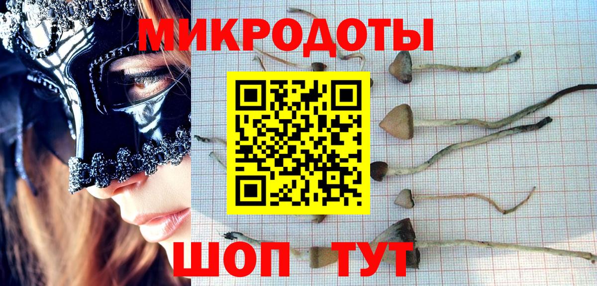 Псилоцибиновые грибы GOLDEN TEACHER Киселёвск