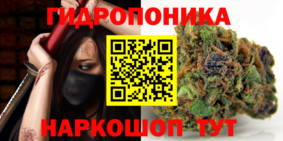 Бошки марихуана OG Kush  Вход с VPN  Шишки марихуана VHQ  Марихуана сатива  Киселёвск 